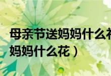 母親節(jié)送媽媽什么禮物簡(jiǎn)單又好看（母親節(jié)送媽媽什么花）