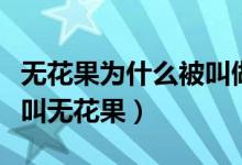 無(wú)花果為什么被叫做無(wú)花果（無(wú)花果為什么被叫無(wú)花果）