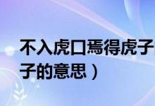 不入虎口焉得虎子的哲學(xué)（不入虎口 焉得虎子的意思）