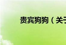 貴賓狗狗（關于貴賓狗狗的介紹）