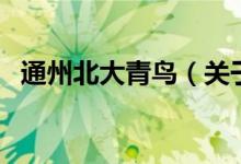 通州北大青鳥（關(guān)于通州北大青鳥的介紹）