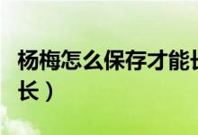 楊梅怎么保存才能長時間（楊梅怎么保存時間長）