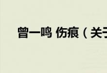 曾一鳴 傷痕（關(guān)于曾一鳴 傷痕的介紹）