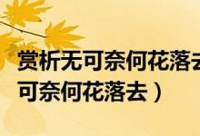 賞析無(wú)可奈何花落去似曾相識(shí)燕歸來(lái)（賞析無(wú)可奈何花落去）