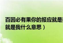 百因必有果你的報應(yīng)就是我什么意思（百因必有果你的報應(yīng)就是我什么意思）