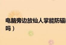 電腦旁邊放仙人掌能防輻射嗎（電腦旁邊放仙人掌能防輻射嗎）