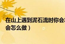 在山上遇到泥石流時(shí)你會(huì)怎么做的（在山上遇到泥石流時(shí)你會(huì)怎么做）