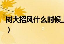 樹大招風(fēng)什么時候上映的（樹大招風(fēng)什么意思）