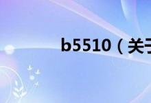 b5510（關(guān)于b5510的介紹）