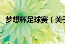 夢(mèng)想杯足球賽（關(guān)于夢(mèng)想杯足球賽的介紹）