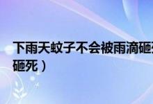 下雨天蚊子不會被雨滴砸死的原因（下雨天蚊子不會被雨滴砸死）