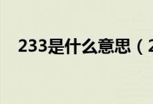 233是什么意思（234824九鍵什么意思）