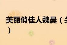 美麗俏佳人魏晨（關(guān)于美麗俏佳人魏晨的介紹）