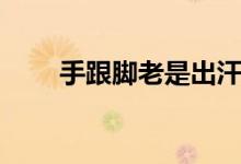 手跟腳老是出汗（手出汗是為什么）
