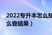 2022專升本怎么知道自己有沒(méi)有被錄?。ㄔ趺床榻Y(jié)果）