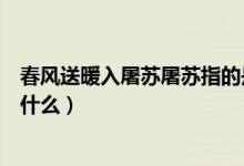 春風(fēng)送暖入屠蘇屠蘇指的是啥（春風(fēng)送暖入屠蘇屠蘇指的是什么）