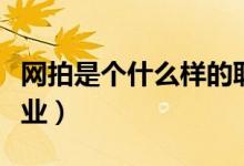網(wǎng)拍是個(gè)什么樣的職業(yè)(網(wǎng)拍是個(gè)什么樣得職業(yè))