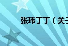 張瑋丁?。P于張瑋丁丁的介紹）