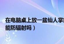 在電腦桌上放一盆仙人掌能防輻射嗎（電腦前放一盆仙人掌能防輻射嗎）