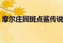 摩爾莊園斑點(diǎn)鯊傳說攻略（摩爾莊園斑點(diǎn)鯊）