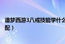 造夢西游3八戒技能學(xué)什么最好圖片（造夢西游3八戒技能搭配）