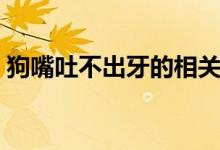 狗嘴吐不出牙的相關(guān)語句（狗嘴吐不出象牙）