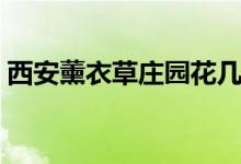 西安薰衣草莊園花幾月開（西安薰衣草莊園）