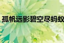 孤帆遠影碧空盡螞蟻莊園（孤帆遠影碧空盡）