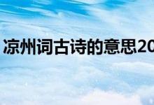 涼州詞古詩的意思20字（涼州詞古詩的意思）