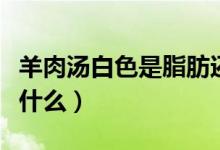 羊肉湯白色是脂肪還是蛋白質(zhì)（羊肉湯白色是什么）