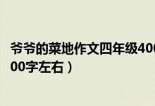 爺爺?shù)牟说刈魑乃哪昙?00字左右（爺爺?shù)牟说刈魑乃哪昙?00字左右）