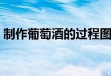 制作葡萄酒的過程圖片（制作葡萄酒的過程）