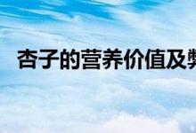 杏子的營養(yǎng)價值及弊端（杏子的營養(yǎng)價值）