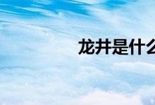 龍井是什么茶（龍井 歸）