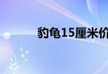 豹龜15厘米價格（豹龜怎么養(yǎng)）