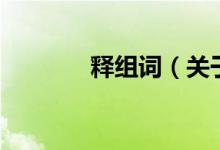 釋組詞（關(guān)于釋組詞的介紹）