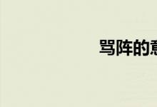 罵陣的意思（罵陣）