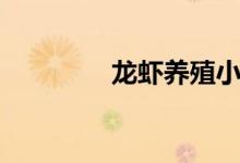 龍蝦養(yǎng)殖小視頻（龍蝦養(yǎng)）