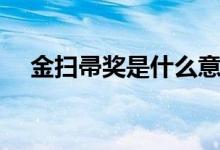 金掃帚獎(jiǎng)是什么意思（金掃帚獎(jiǎng)是什么）