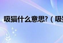吸貓什么意思?（吸貓是什么意思百度百科）