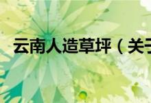 云南人造草坪（關(guān)于云南人造草坪的介紹）