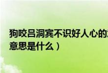 狗咬呂洞賓不識(shí)好人心的意思是（狗咬呂洞賓不識(shí)好人心的意思是什么）