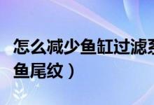 怎么減少魚缸過濾系統(tǒng)的流水聲音（怎么減少魚尾紋）