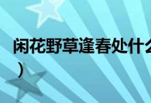 閑花野草逢春處什么意思（閑花野草逢春春生）