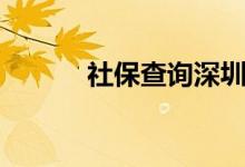 社保查詢深圳（社保查詢深圳）