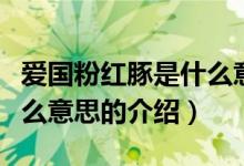 愛國粉紅豚是什么意思（關(guān)于愛國粉紅豚是什么意思的介紹）