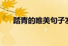 踏青的唯美句子發(fā)朋友圈(踏青說說)