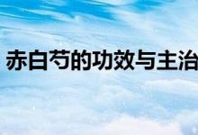赤白芍的功效與主治（赤白芍的功效與作用）
