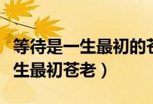 等待是一生最初的蒼老是什么意思（等待是一生最初蒼老）