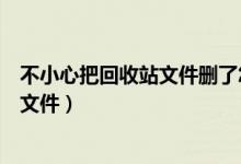 不小心把回收站文件刪了怎么恢復(fù)（怎樣找回回收站刪除的文件）